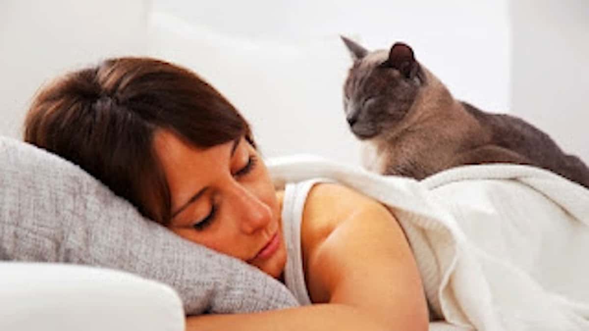 Voici pourquoi votre chat préfère dormir avec vous plutôt qu’avec votre partenaire