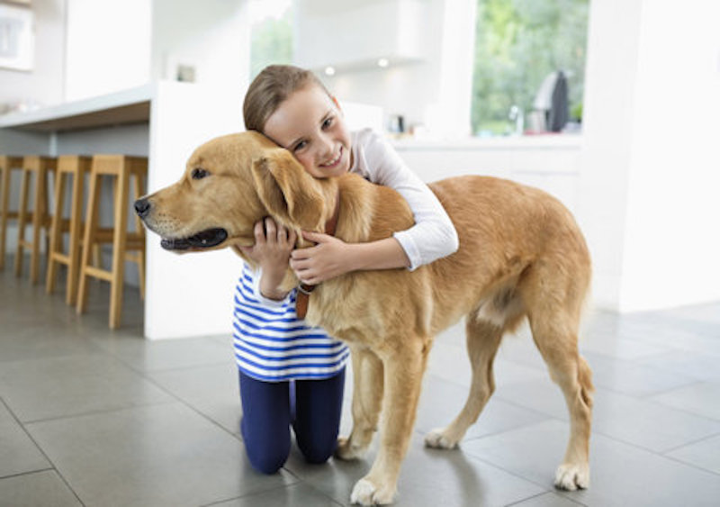 Vous aimez plus les chats ou les chiens ? Voici ce que votre choix d'animal de compagnie dit de vous