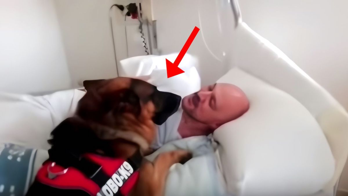 À l’hôpital depuis des mois sans pouvoir voir son chien, une infirmière enfreint le règlement