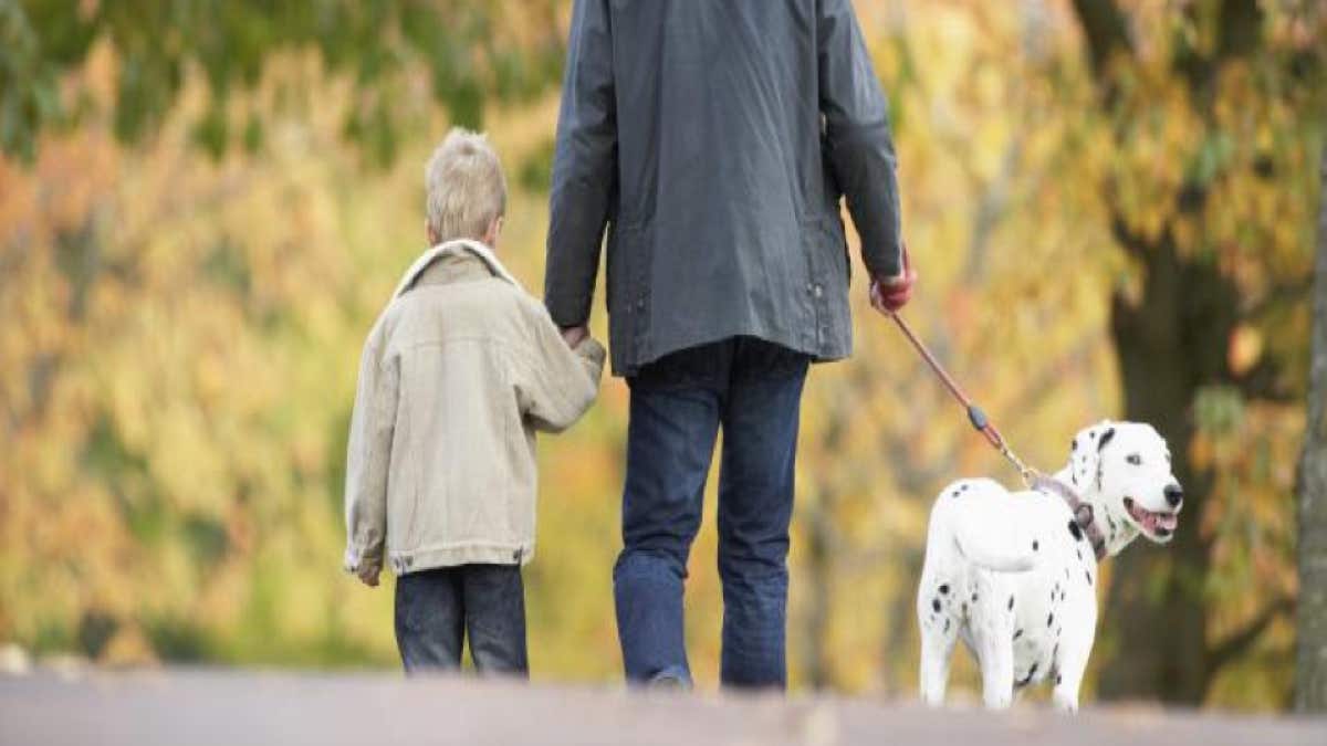 Attention si vous promenez votre chien en laisse, voici ce que dit la science