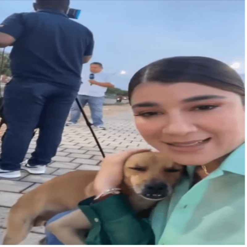 L'attitude de ce chien a surpris la journaliste en plein reportage en direct à la télévision