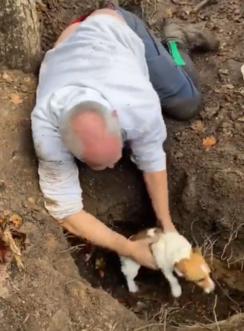 Cet homme explose en larmes quand il retrouve son chien perdu au fond d’un terrier