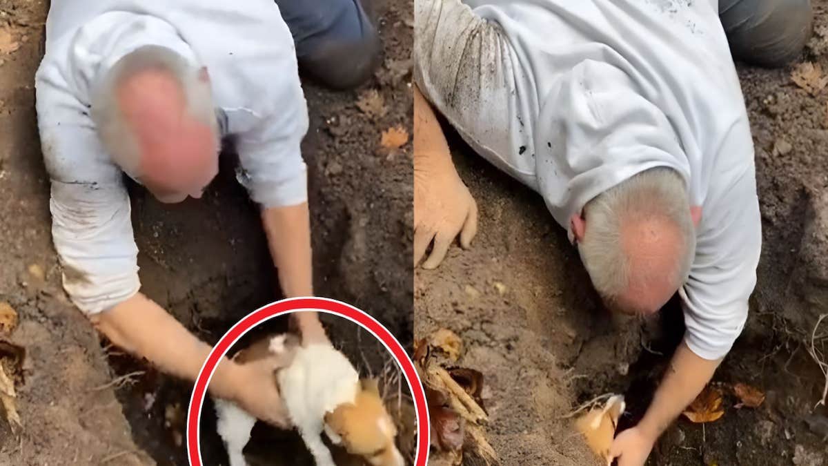 Cet homme explose en larmes quand il retrouve son chien perdu au fond d’un terrier