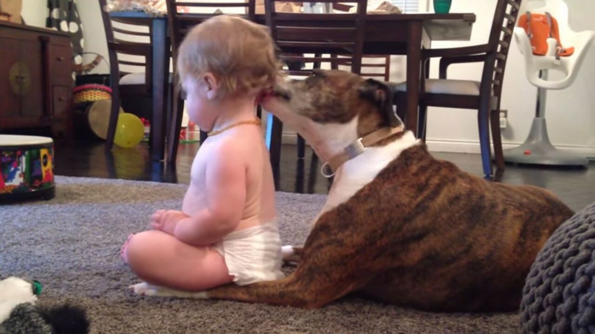 Cette fillette a une relation très spéciale avec son chien, vous allez être surpris !