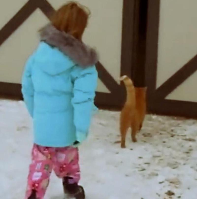 Cette fillette suit son chat dans la grange et découvre l’impensable, elle est sidérée !