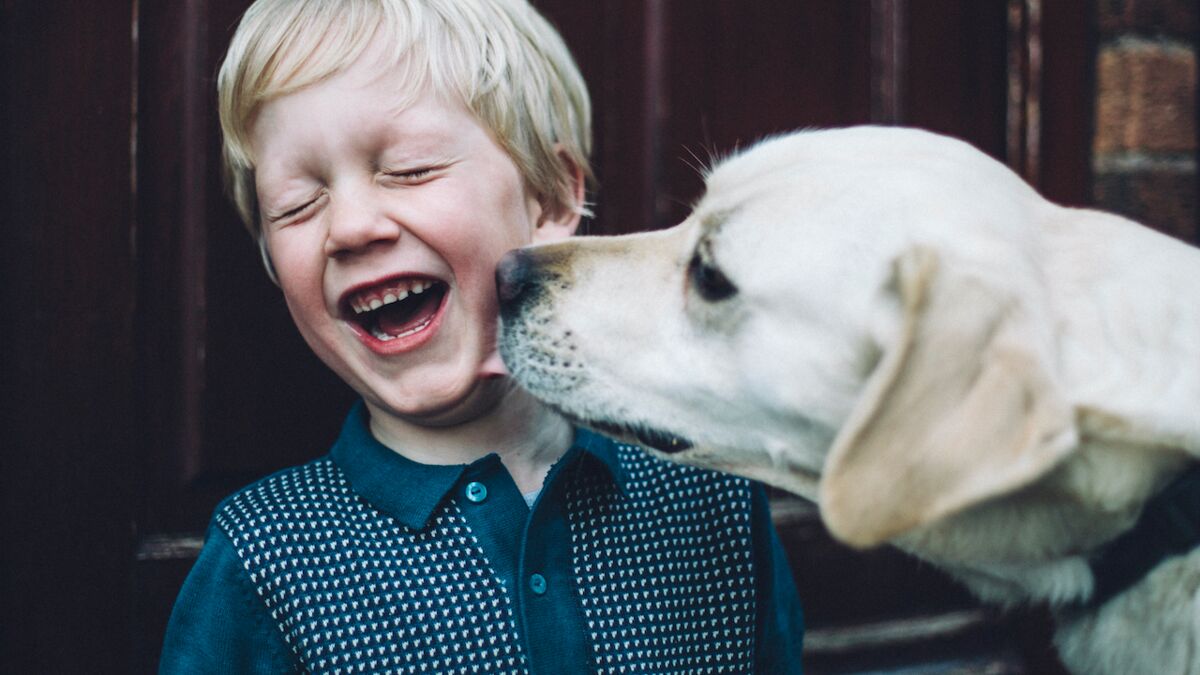 Cette mère s’effondre quand elle découvre ce que son chien fait avec son fils autiste