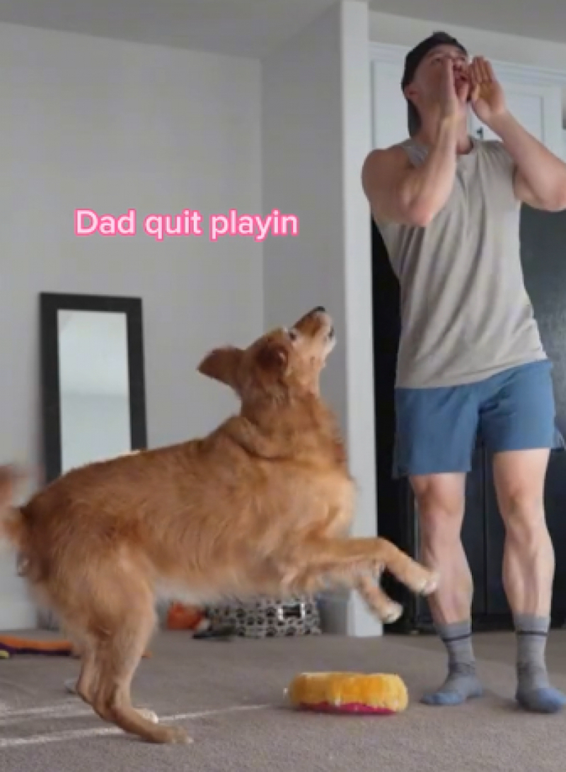 Il fait croire à sa chienne qu’il ne la voit plus, la réaction de la Golden Retriever est hilarante (vidéo)