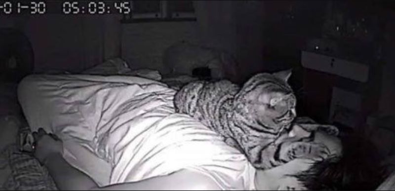 Il installe une caméra et découvre ce que son chat lui fait la nuit, c’est terrifiant !