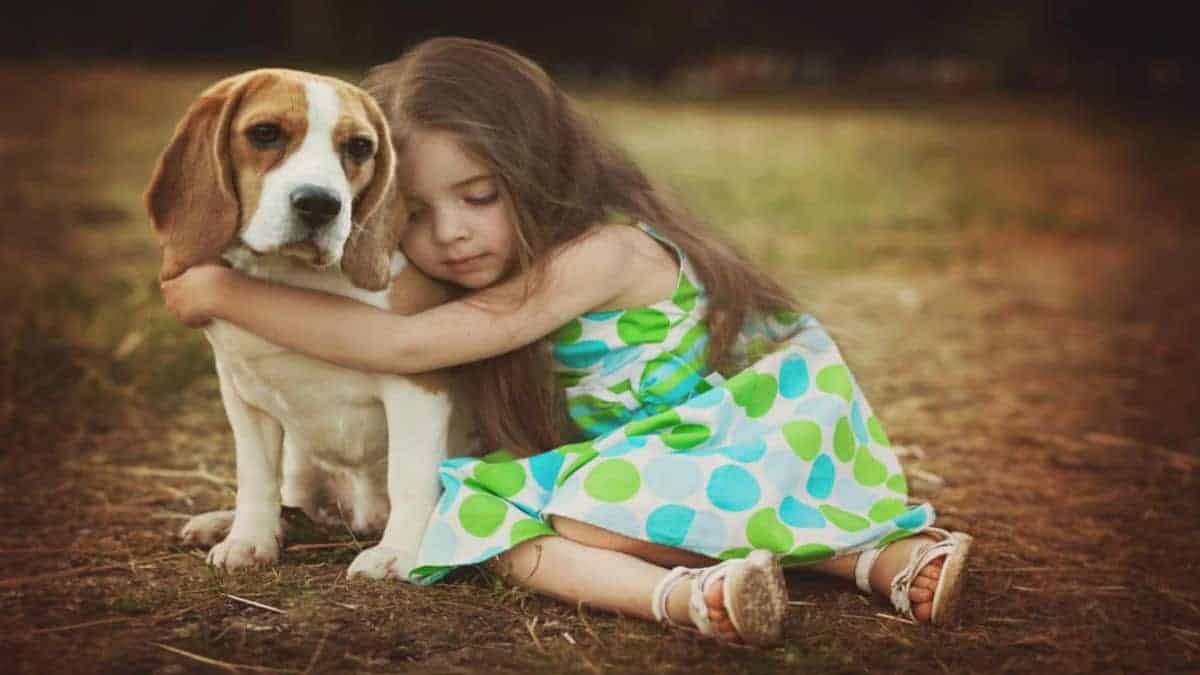 Les 10 races de chiens qui adorent les enfants !