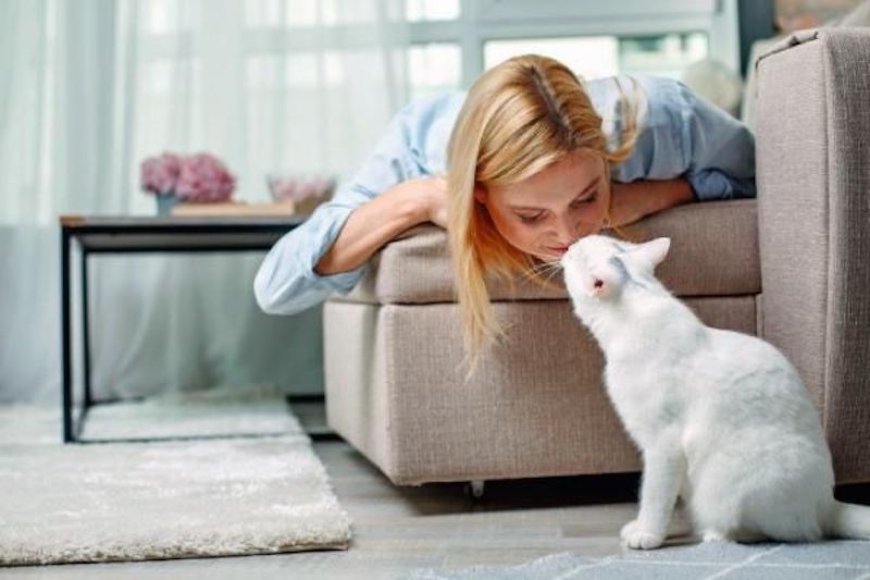 Les 3 manières particulières dont les chats communiquent avec vous