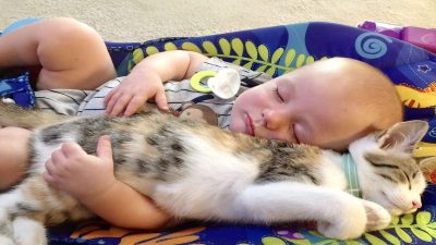 Leur chat ne veut pas laisser leur bébé seul, quand ils comprennent pourquoi, la police débarque