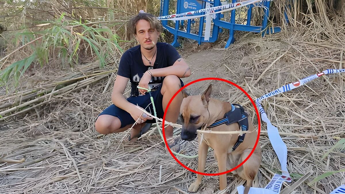 Tanka, le chien qui a aboyé pendant 6 heures d'affilée pour que son maître soit sauvé d'un puits