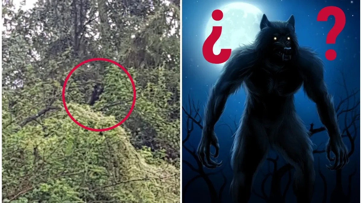 Un homme parvient à prendre en photo une créature terrifiante "mi-homme, mi-chien"