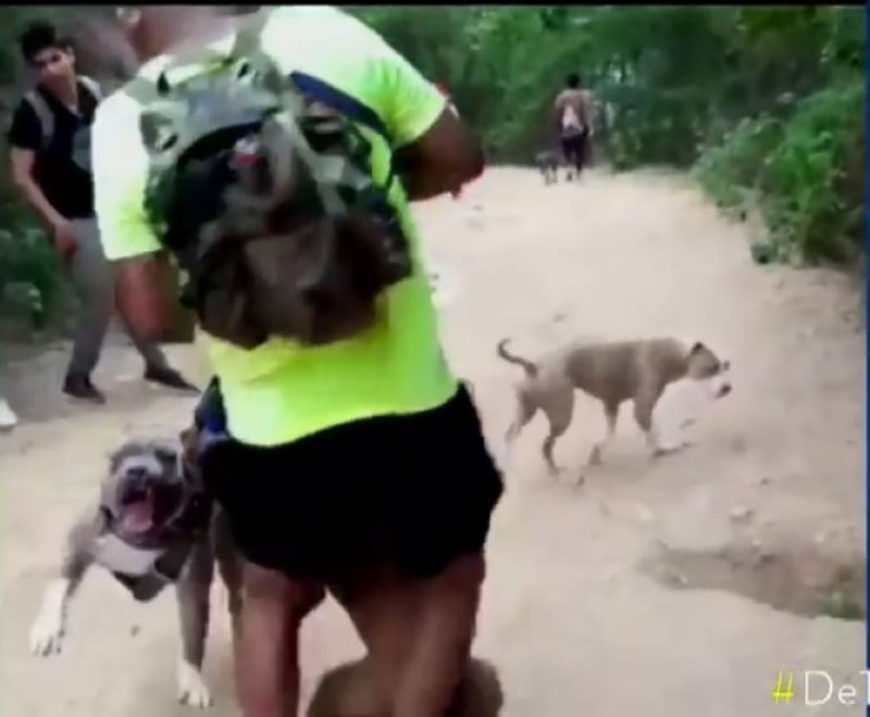 Vidéo : il explique comment prévenir les attaques quand 2 chiens se battent et le font rouler par terre