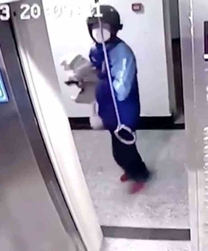 Vidéo, le chien se retrouve seul pendu dans l'ascenseur à cause de sa laisse 