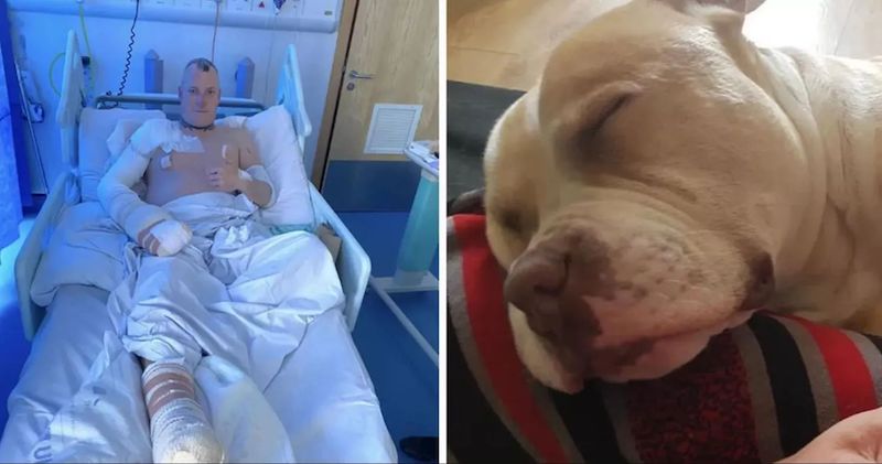 Ce chien meurt en combattant pour sauver la vie de son maître au milieu d'un incendie