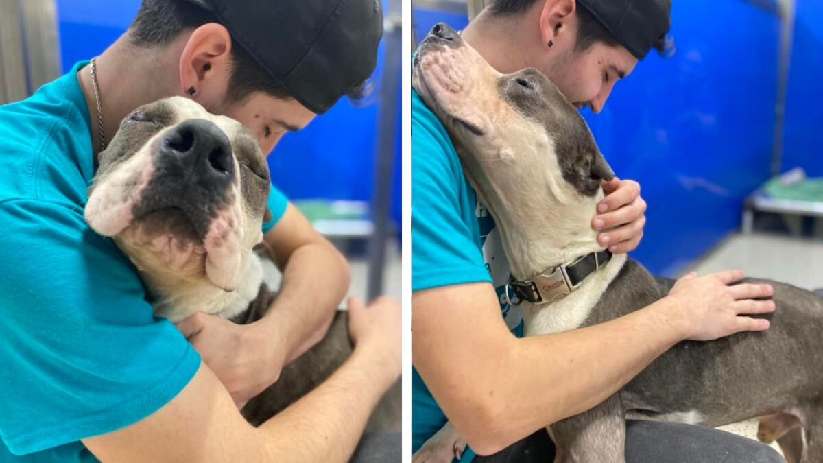 Ce chien sauvé de la rue remercie tout le monde au refuge en faisant des câlins