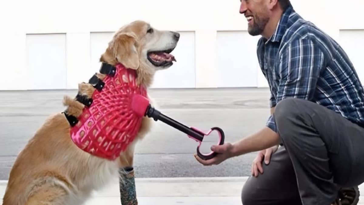 Cet homme sauve la vie de milliers d’animaux handicapés grâce à son ingéniosité !