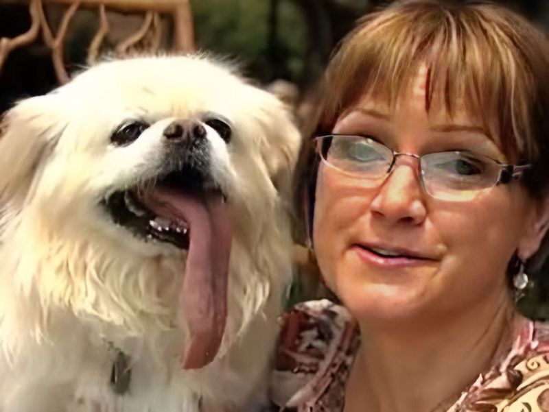 Découvrez le chien qui a la langue la plus longue du monde, vous allez être surpris !