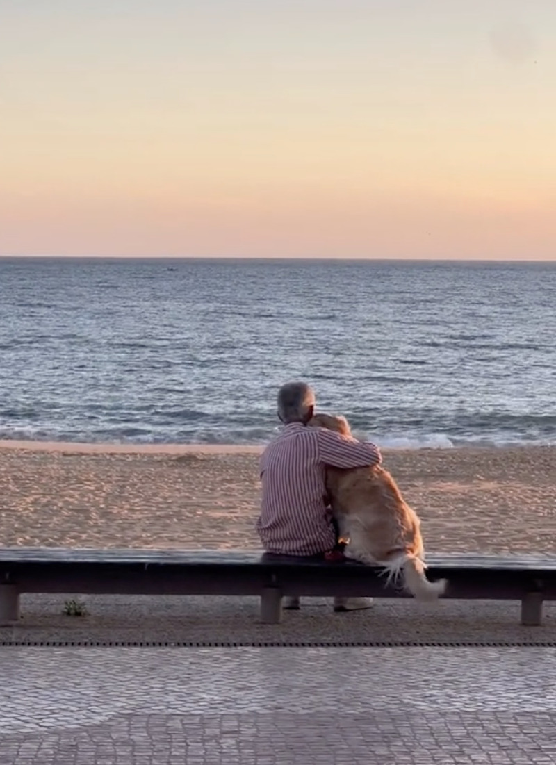 Elle voit un homme avec son chien sur la plage, ce qu’il lui fait bouleverse la Toile