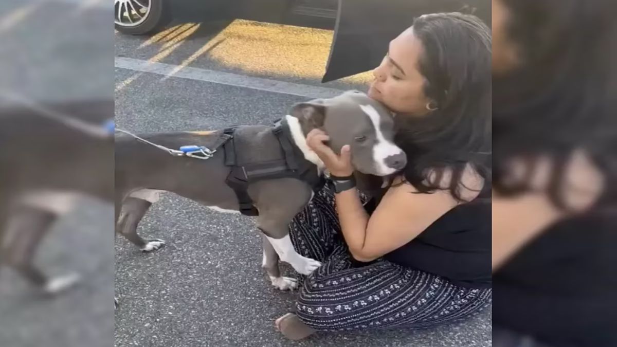 Elle a perdu son chien, mais 2 ans après un miracle se produit et elle a la surprise de sa vie