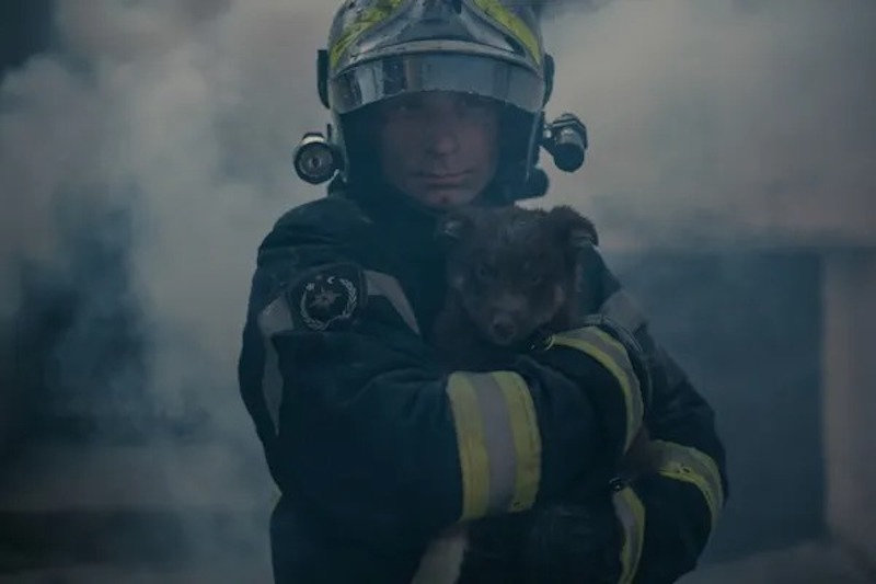 Ils détachent un chien enchaîné mais il refuse de bouger, ce qu'ils découvrent est choquant !