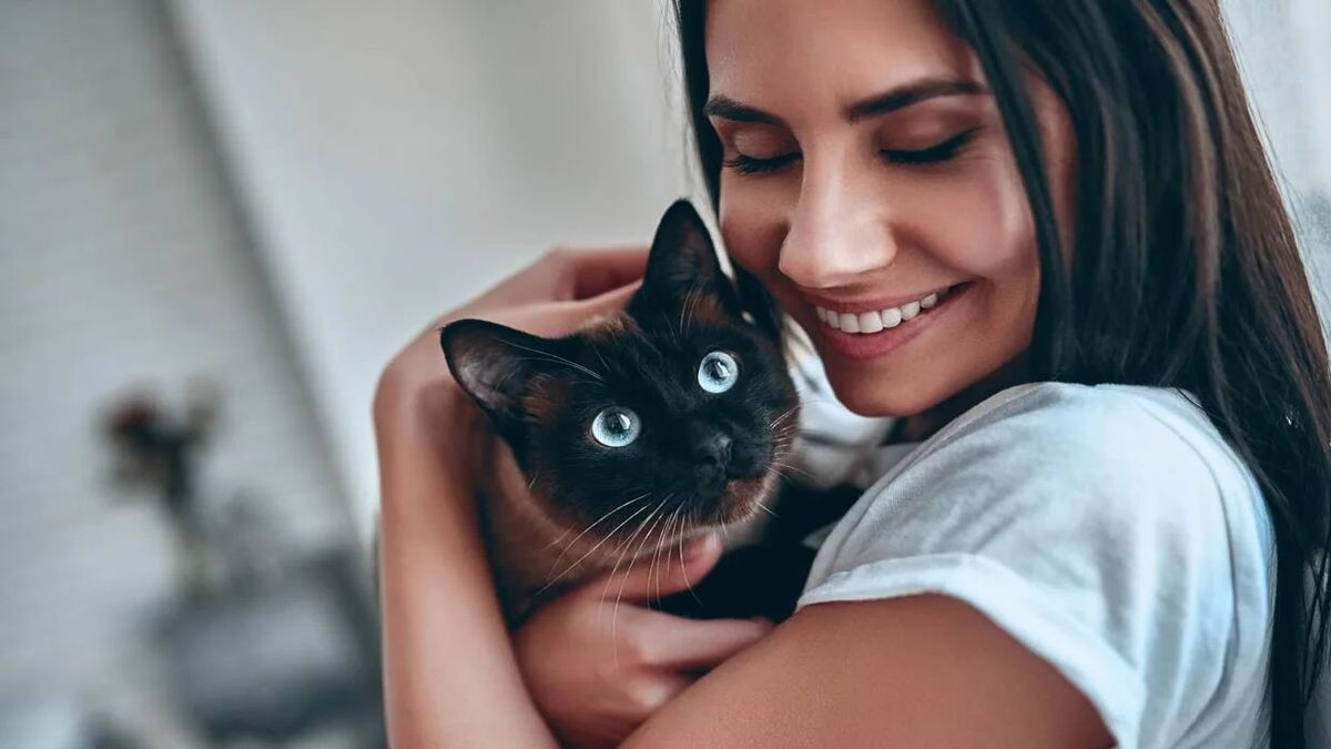 Les chats sont des professeurs qui nous enseignent ces leçons