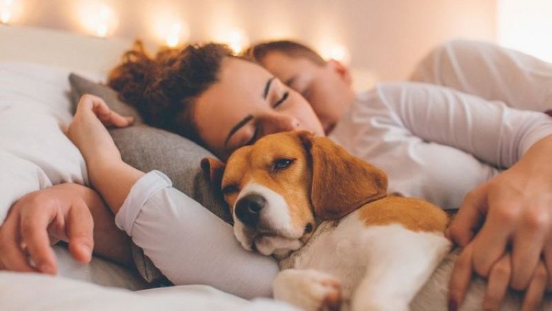 Ces risques méconnus si vous dormez avec votre chien tous les soirs
