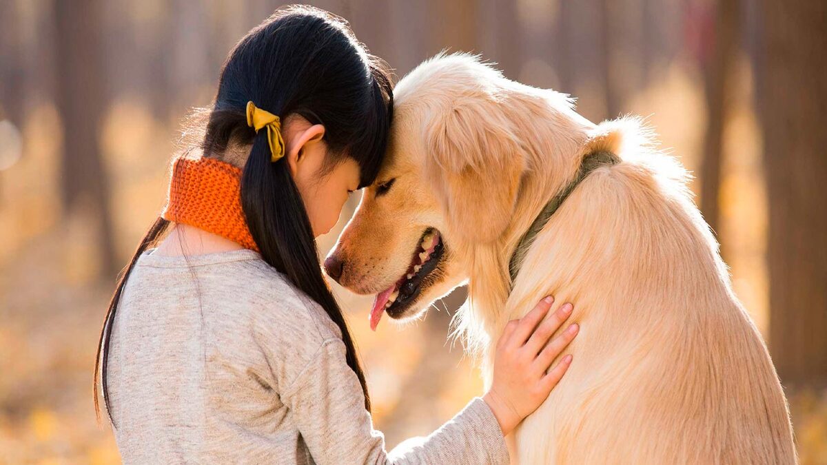 Pourquoi partager notre vie avec des animaux nous rend plus heureux