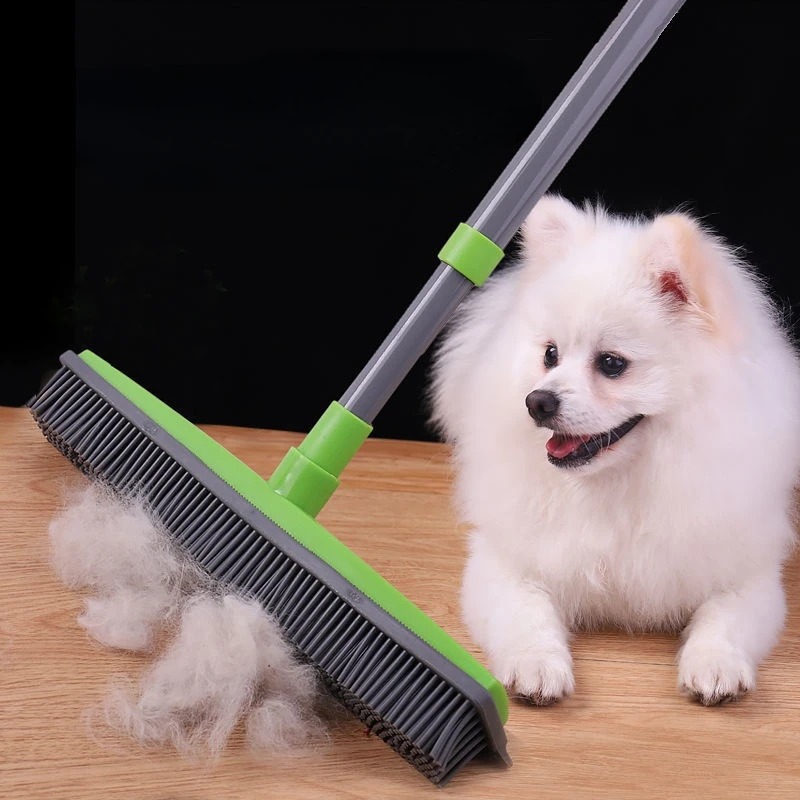 Enlever les poils de chien : les meilleures astuces – Blog BUT