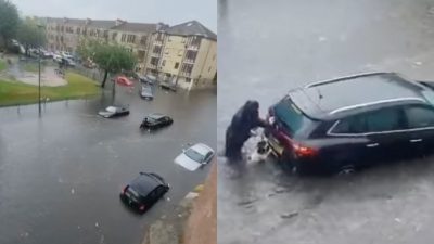 Un chien aide sa maîtresse à pousser une voiture engloutit dans l'eau avec 2 femmes à bord !