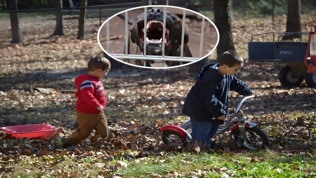 Un jeu entre deux enfants se termine très mal à cause de ce chien