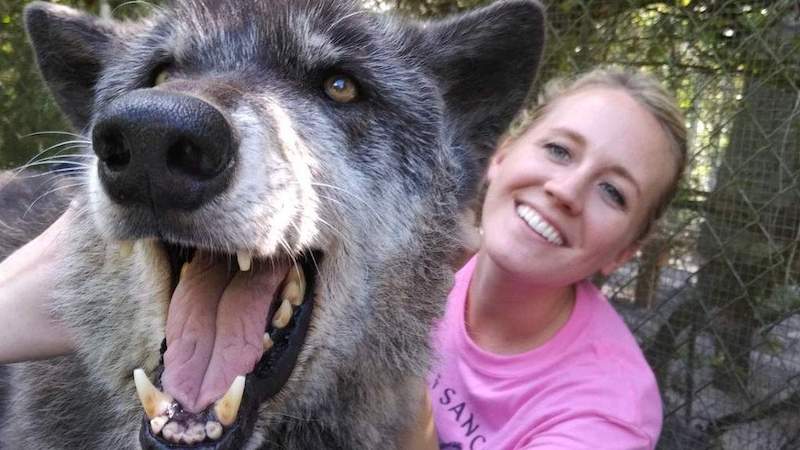 Un refuge a sauvé ce chien-loup géant, puis un test ADN a montré pourquoi il était si grand