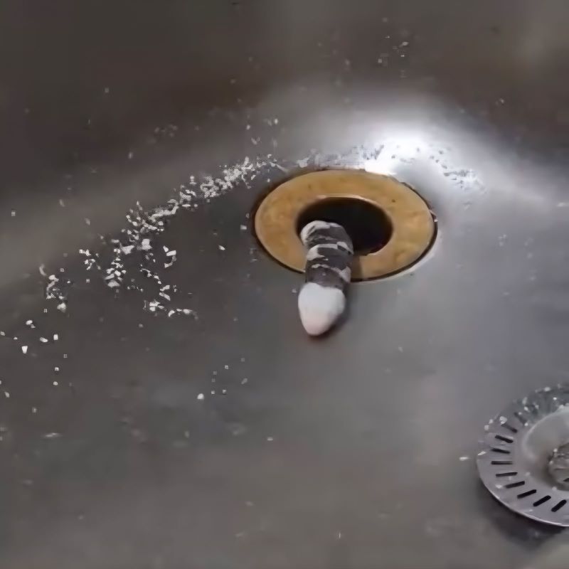 Une femme découvre un animal étrange sortant de son lave-vaisselle (Vidéo)