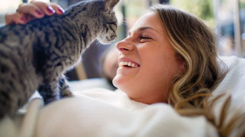 Voici ce que fait votre chat si vous lui parlez sur un ton de bébé, selon une étude
