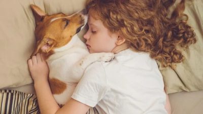 Voici pourquoi il ne faut surtout pas dormir avec son chien, d'après un vétérinaire !