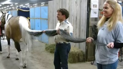 Ce cheval a la plus longue queue du monde, elle est impressionnante !