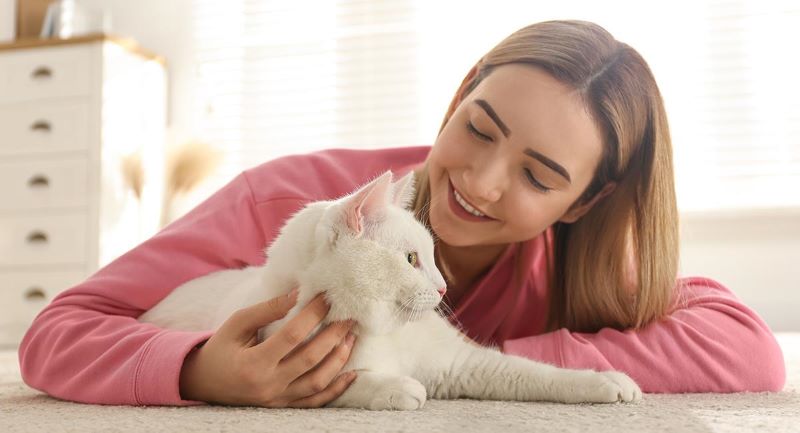 Comment savoir si un chat aime son maître ?