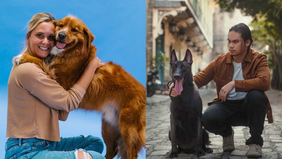 De toutes les races de chiens, c'est la meilleure pour la garde