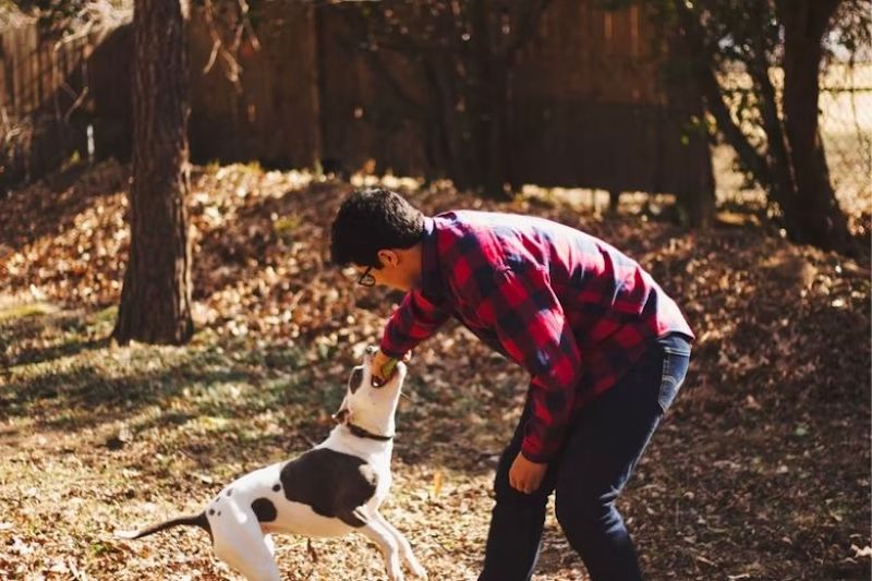 Il trouve un chien Pitbull attaché à un arbre, une très étrange lettre est posée à côté