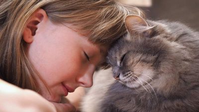 Les véritables raisons pour lesquelles les chats préfèrent certaines personnes à d’autres