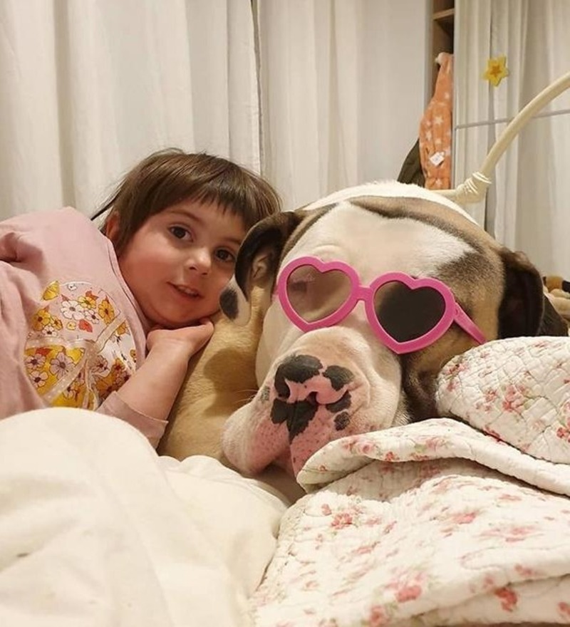 Un chien géant devient viral pour son amitié avec deux petites filles