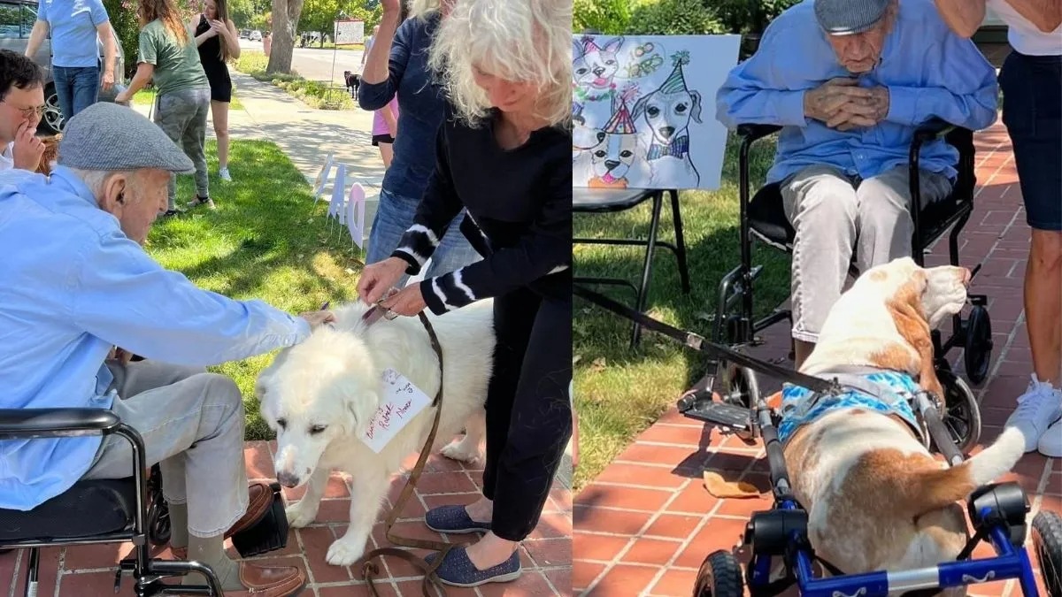 Un grand-père fête ses 100 ans et sa famille organise un défilé de chiens pour lui