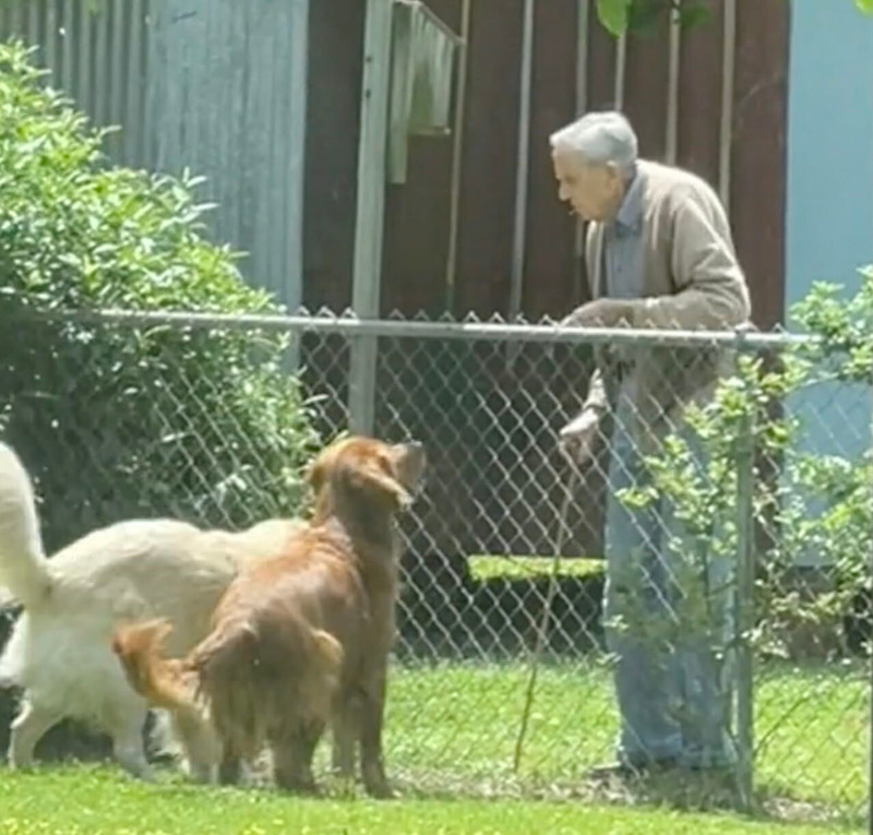 Un homme de 94 ans est filmé à la clôture du voisin, ce qu’il fait avec les chiens est incroyable !