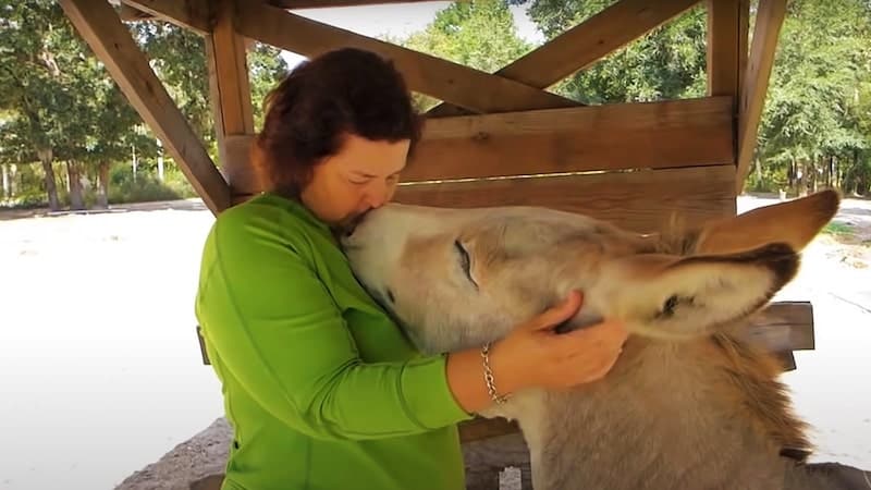 Une femme rencontre un âne, la réaction de l’animal est bouleversante