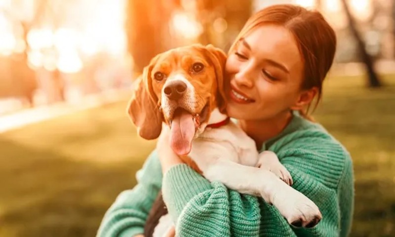 5 avantages pour la santé d'avoir un chien !