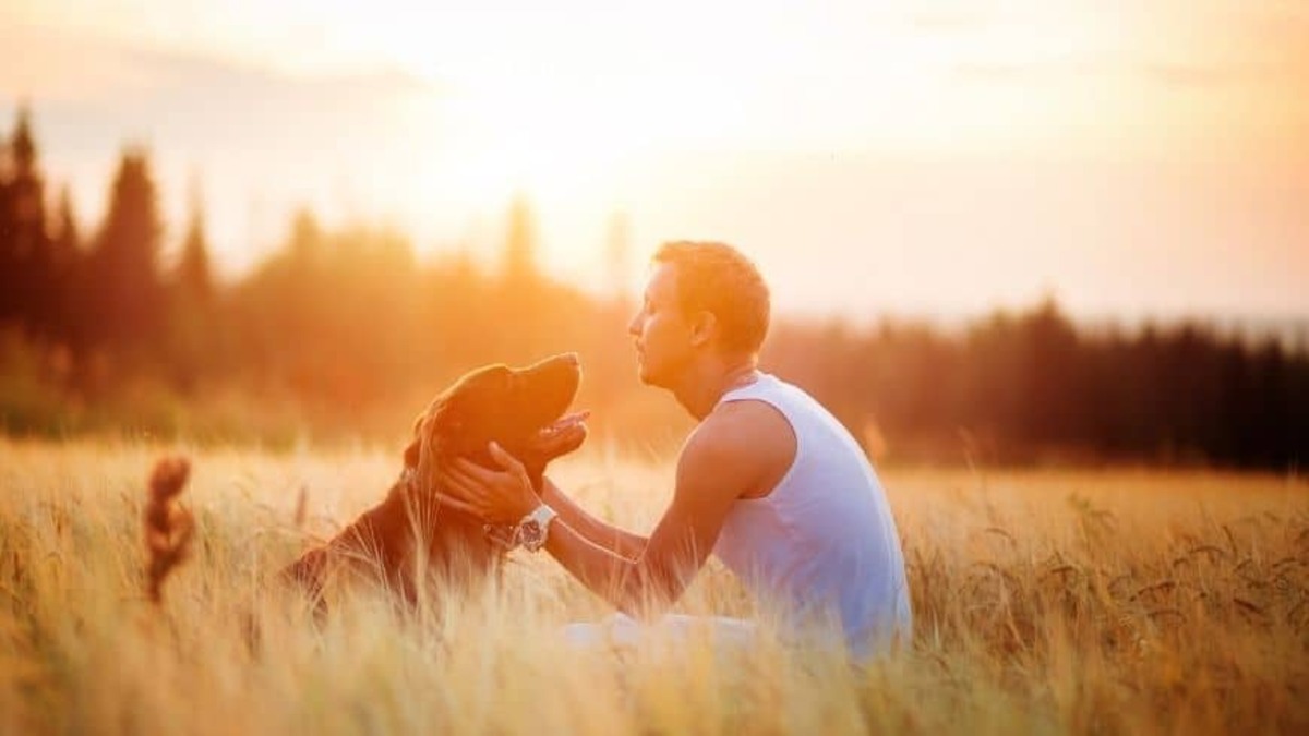 5 conseils pour être le meilleur propriétaire pour votre chien