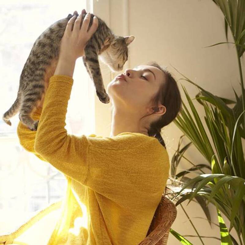 Ce que les chats aiment faire avec leurs maîtres