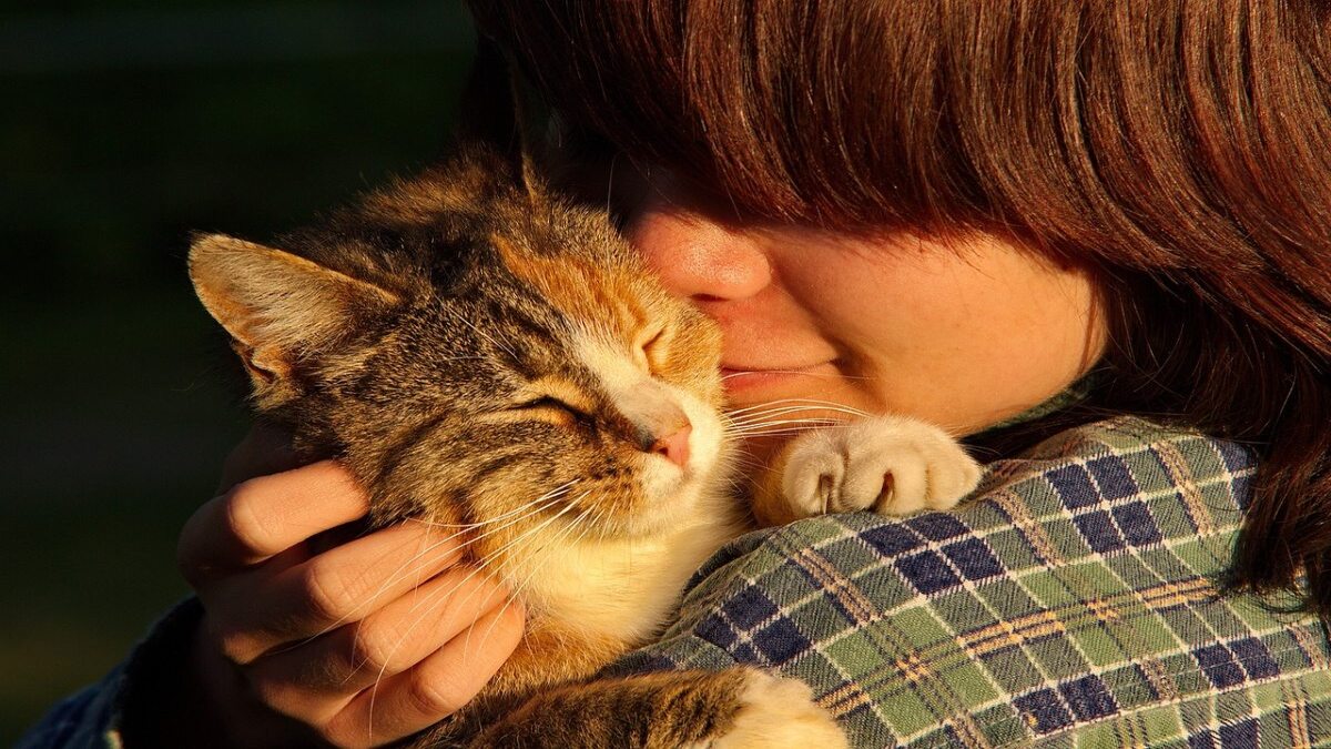 Les signes qui révèlent que votre chat préfère une personne en particulier