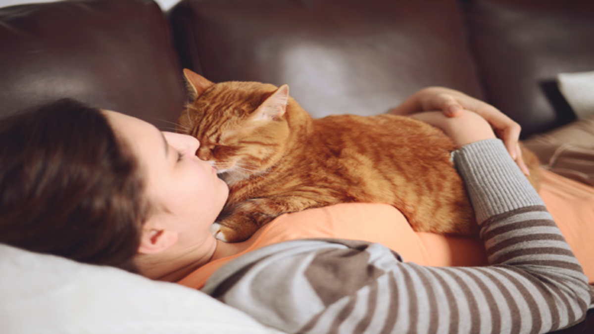 Découvrez comment les chats montrent leur gratitude envers leurs maîtres